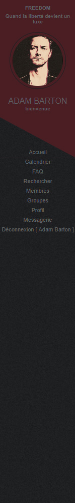 Codage navigation Freedom Halloween Forumactif