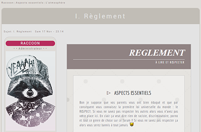 Halloween Profil et message Raccoon